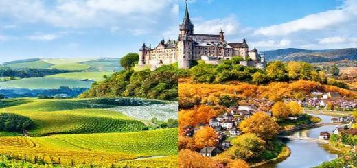 A high-definition image of Landkreis Mayen-Koblenz, Germany, showcasing the region's breathtaking natural beauty across the four seasons. Depict rolling vineyards in vibrant summer green, a serene snow-covered castle in winter, golden autumn leaves blanketing the landscape, and blooming flowers in spring. Include charming small towns with historical architecture and the winding Moselle River, encapsulating the enchanting essence of this picturesque district throughout the year.