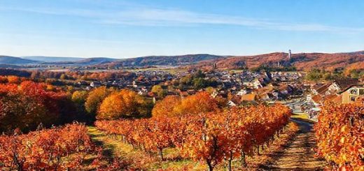 A breathtaking landscape of Thüringen in autumn, showcasing a vibrant tapestry of red, orange, and gold foliage. In the foreground, a winding hiking trail leads through a picturesque vineyard with ripe grapes. In the background, charming historic towns with cobblestone streets are framed by rolling hills under a clear blue sky. Capture the essence of the Onion Market Festival with stands displaying local crafts and edibles. Render this scene in high definition, emphasizing the warm colors and tranquil atmosphere of an autumn day.