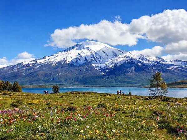 High definition image of Mount Cook in New Zealand, showcasing the majestic snow-capped peak against a vivid blue sky. The foreground features lush alpine meadows dotted with blooming wildflowers, while a serene lake reflects the mountains’ grandeur. Include hints of autumn colors in the trees around, a few wandering hikers enjoying the scenery, and fluffy clouds gently drifting by for a sense of tranquility and adventure.