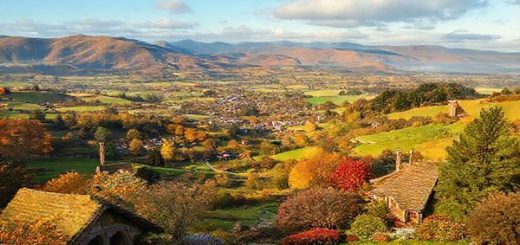 A panoramic view of the Matamata-Piako District in all four seasons, showcasing summer's vibrant festivities at Hobbiton, autumn's rich golden foliage, winter's misty hills, and spring's blooming flowers, all harmoniously blended into a single high-definition landscape. Add a touch of whimsical charm to reflect its connection to Middle-Earth.