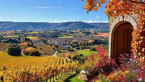 A breathtaking view of Blenheim, New Zealand, capturing the essence of its four seasons: vibrant summer vineyards with sun-drenched grapes, a cozy winter cellar door with warm tones, a fall landscape featuring golden leaves against the blue sky, and a spring garden bursting with colorful blooms. The image should be lush, full of life, and painted in a stunning high-definition style, showcasing the natural beauty and cultural allure of this picturesque town.
