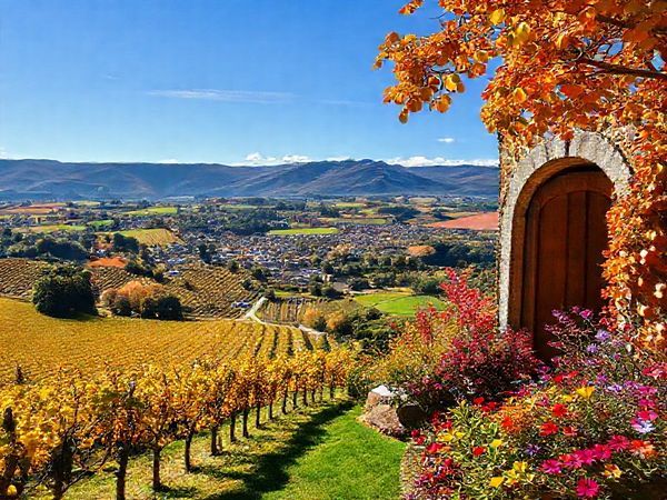 A breathtaking view of Blenheim, New Zealand, capturing the essence of its four seasons: vibrant summer vineyards with sun-drenched grapes, a cozy winter cellar door with warm tones, a fall landscape featuring golden leaves against the blue sky, and a spring garden bursting with colorful blooms. The image should be lush, full of life, and painted in a stunning high-definition style, showcasing the natural beauty and cultural allure of this picturesque town.