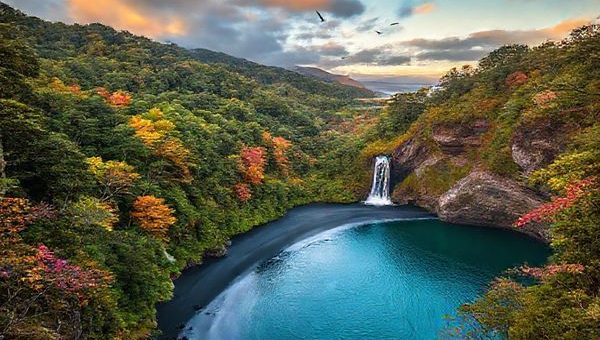 A breathtaking high-definition view of Waitākere District, showcasing its diverse beauty across seasons: lush rainforests in vibrant summer greens, serene winter waterfalls cascading dramatically, autumn leaves in warm hues reflecting golden sunsets, and spring blossoms bursting with color. Highlight iconic black sand beaches like Piha, framed by rugged cliffs, with native birds soaring above. Capture the essence of adventure and tranquility, inviting viewers to experience this New Zealand gem.