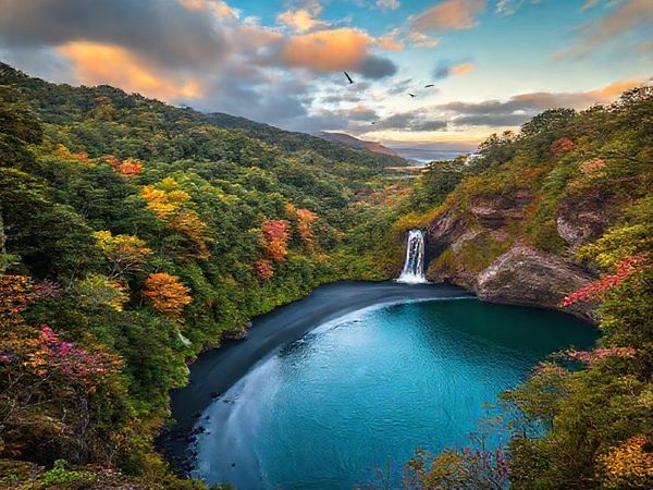 A breathtaking high-definition view of Waitākere District, showcasing its diverse beauty across seasons: lush rainforests in vibrant summer greens, serene winter waterfalls cascading dramatically, autumn leaves in warm hues reflecting golden sunsets, and spring blossoms bursting with color. Highlight iconic black sand beaches like Piha, framed by rugged cliffs, with native birds soaring above. Capture the essence of adventure and tranquility, inviting viewers to experience this New Zealand gem.