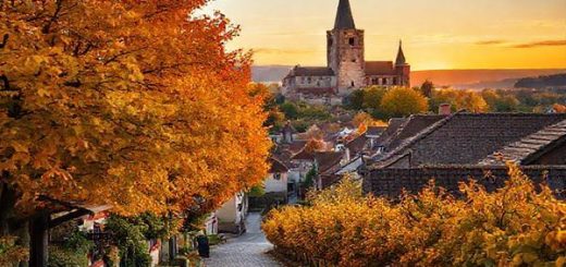High definition image of Landkreis Meißen in autumn, showcasing vibrant trees in gold, russet, and copper hues surrounding picturesque medieval towns and lush vineyards. Include a charming cobbled street leading to a historical castle, inviting grape-picking events, and the soft glow of a sunset in the backdrop, creating a serene and enchanting atmosphere.