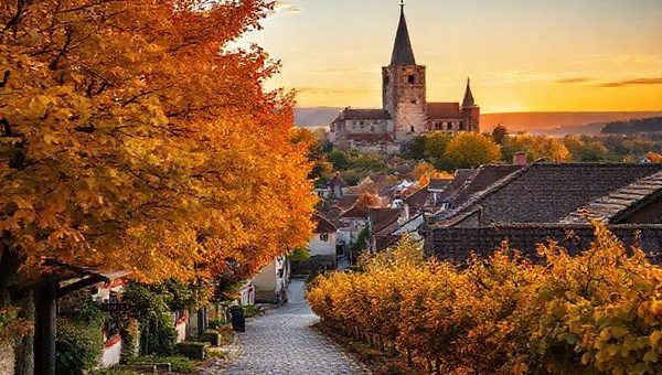 High definition image of Landkreis Meißen in autumn, showcasing vibrant trees in gold, russet, and copper hues surrounding picturesque medieval towns and lush vineyards. Include a charming cobbled street leading to a historical castle, inviting grape-picking events, and the soft glow of a sunset in the backdrop, creating a serene and enchanting atmosphere.