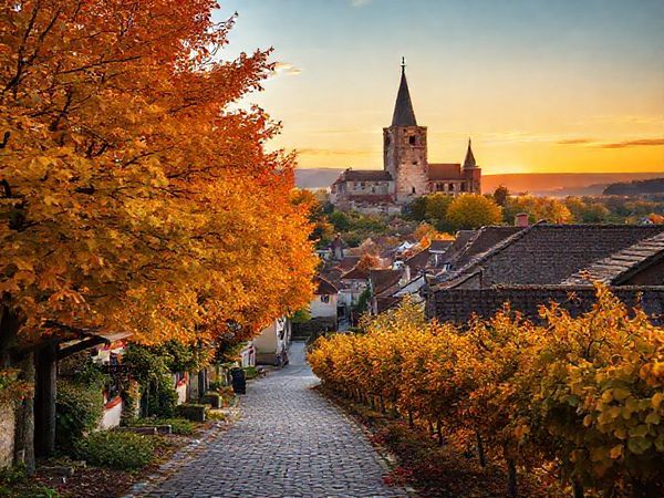High definition image of Landkreis Meißen in autumn, showcasing vibrant trees in gold, russet, and copper hues surrounding picturesque medieval towns and lush vineyards. Include a charming cobbled street leading to a historical castle, inviting grape-picking events, and the soft glow of a sunset in the backdrop, creating a serene and enchanting atmosphere.