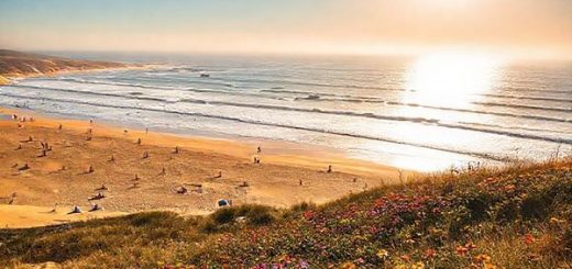 A breathtaking high-definition scene of Ninety Mile Beach in summer, showcasing the vibrant atmosphere with sunbathers and surfers enjoying the golden sands and rolling Pacific waves. In the background, wildflowers bloom along the dunes, adding splashes of color to the landscape. Capture the excitement of beach sports and the lively energy of both locals and tourists, with a view of vehicles traversing the expansive shoreline under a radiant sunlit sky.