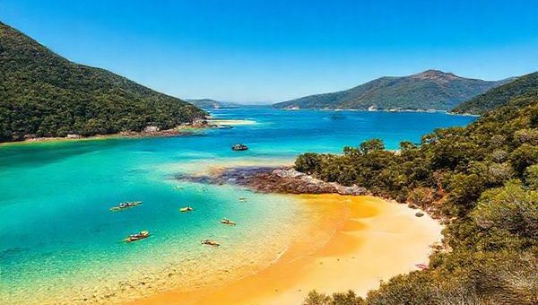 A breathtaking high-definition vista of Abel Tasman National Park during summer, showcasing golden beaches under a bright blue sky, vibrant green coastal forests, and crystal-clear waters. Include a group of kayakers paddling joyfully on the azure sea, with lush hiking trails winding through the scenery, and a few sunbathers enjoying the warm sunshine, all framed by towering cliffs and native wildlife in the background.