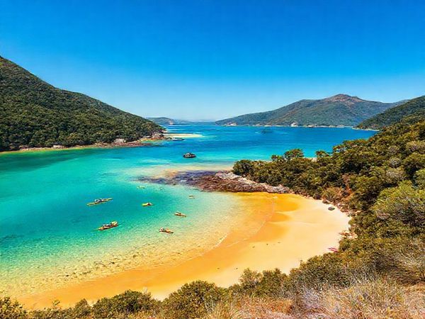 A breathtaking high-definition vista of Abel Tasman National Park during summer, showcasing golden beaches under a bright blue sky, vibrant green coastal forests, and crystal-clear waters. Include a group of kayakers paddling joyfully on the azure sea, with lush hiking trails winding through the scenery, and a few sunbathers enjoying the warm sunshine, all framed by towering cliffs and native wildlife in the background.