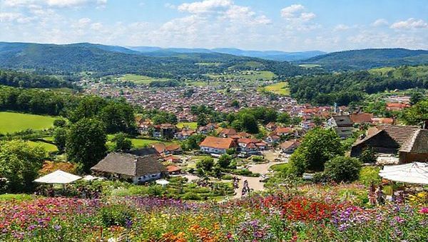 Create a high-definition image of Landkreis Altenburger Land in summer, showcasing its vibrant, lush landscapes filled with blooming flowers, rolling hills, and charming small towns. Include a scenic view of the Altenburg Botanical Garden teeming with diverse plant species, along with people enjoying outdoor activities like hiking and picnicking. Add hints of local festivals and markets in the background, capturing the lively atmosphere of summer in this picturesque region of Thuringia, Germany.