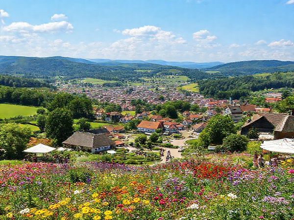 Create a high-definition image of Landkreis Altenburger Land in summer, showcasing its vibrant, lush landscapes filled with blooming flowers, rolling hills, and charming small towns. Include a scenic view of the Altenburg Botanical Garden teeming with diverse plant species, along with people enjoying outdoor activities like hiking and picnicking. Add hints of local festivals and markets in the background, capturing the lively atmosphere of summer in this picturesque region of Thuringia, Germany.
