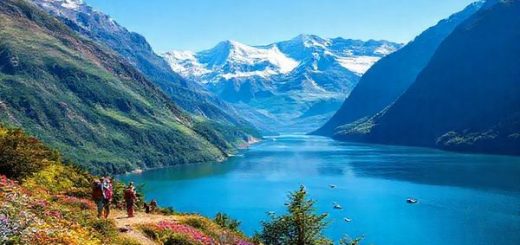 A breathtaking high-definition scene of Fiordland National Park, showcasing the dramatic landscapes of towering peaks, plunging fjords, and lush rainforests. The image should depict vibrant summer colors with blooming vegetation against deep blue waters, along with glimpses of iconic locations like Milford Sound. Include hikers on scenic trails and serene water activities, all under a bright blue sky, capturing the lively atmosphere of summer in this World Heritage area.