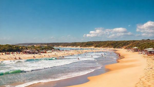 A breathtaking high-definition scene of Colac Bay, New Zealand, showcasing the undulating sandy beach and vibrant ocean waves under a warm summer sun. Include colorful surfboards along the shore, local festival decorations in the background, and lush native bushland framing the beach. Capture the lively atmosphere with people enjoying sunbathing, surfing, and mingling at a beachside café, all under a brilliant blue sky with a few fluffy clouds.