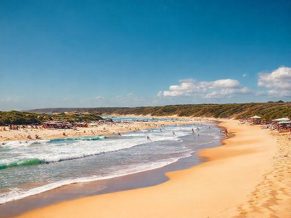 A breathtaking high-definition scene of Colac Bay, New Zealand, showcasing the undulating sandy beach and vibrant ocean waves under a warm summer sun. Include colorful surfboards along the shore, local festival decorations in the background, and lush native bushland framing the beach. Capture the lively atmosphere with people enjoying sunbathing, surfing, and mingling at a beachside café, all under a brilliant blue sky with a few fluffy clouds.