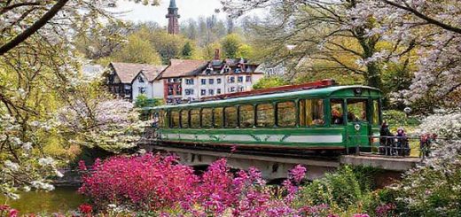 A high-definition image of Wuppertal in spring, showcasing the vibrant colors of blooming flowers and lush greenery in the Botanical Gardens, with the iconic Schwebebahn gracefully gliding above the Wupper River. Include charming old-world architecture peeking through the blooming trees and lively locals enjoying the mild weather, creating a picturesque scene filled with life and color.