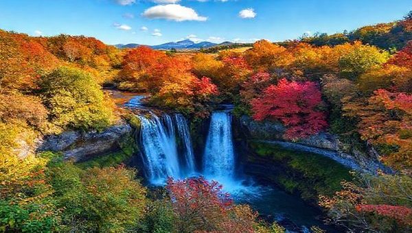 A stunning high-definition image of Whangārei, New Zealand, showcasing its breathtaking natural landscapes in the vibrant hues of fall. Include a picturesque scene of Whangārei Falls with leaves in shades of reds, oranges, and yellows, surrounded by lush greenery. Capture the serene atmosphere of the area, featuring hiking trails and distant vineyards, with a clear blue sky above and a few fluffy clouds.