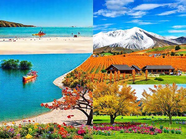 Create a high-definition image of the picturesque Nelson Region in New Zealand, featuring a vibrant montage of all four seasons: a sun-drenched summer beach scene with people kayaking, a serene winter landscape with snow-dusted hills and cozy lodges, a breathtaking autumn vineyard showcasing golden and burnt orange leaves, and a colorful spring park bursting with blooming flowers and wildlife. Include elements of arts and culture, like local crafts in a bustling market and artworks displayed outdoors, to capture the region's rich artistic flair.