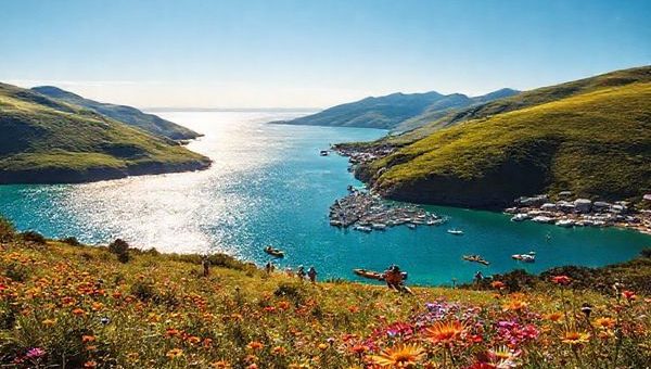 Create a high-definition image of Te Hāpua, New Zealand during the vibrant summer season. Capture the shimmering azure waters of Parengarenga Harbour reflecting the sunlight, with lush green hills in the background. Include locals engaging in activities like kayaking and hiking along scenic trails, surrounded by vibrant wildflowers in full bloom. The atmosphere should feel tranquil yet lively, showcasing the idyllic charm of this remote coastal settlement.