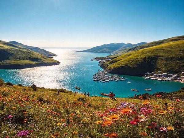 Create a high-definition image of Te Hāpua, New Zealand during the vibrant summer season. Capture the shimmering azure waters of Parengarenga Harbour reflecting the sunlight, with lush green hills in the background. Include locals engaging in activities like kayaking and hiking along scenic trails, surrounded by vibrant wildflowers in full bloom. The atmosphere should feel tranquil yet lively, showcasing the idyllic charm of this remote coastal settlement.