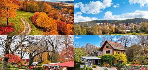 High definition image of Landkreis Schmalkalden-Meiningen showcasing the four seasons: a lush summer landscape with hiking trails, vibrant autumn foliage in rich hues of gold and crimson, a serene winter scene with snow-laden trees and a charming Christmas market, and a blooming spring garden filled with colorful flowers. Emphasize the contrast between each season's beauty in a panoramic view.