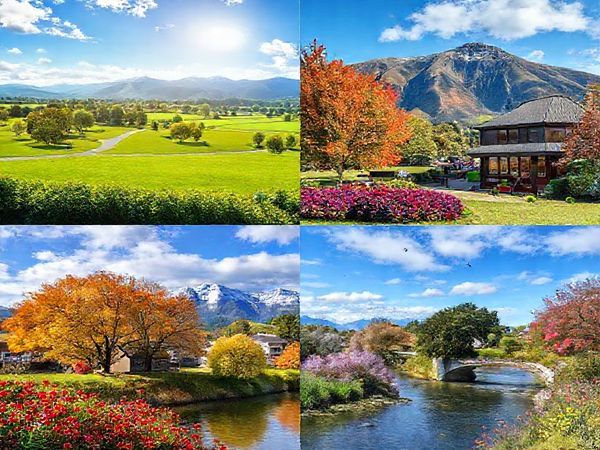 **Image Prompt:** Create a high-definition image of Waipukurau, New Zealand, showcasing its picturesque landscapes in each of the four seasons: vibrant summer with sunny skies and lush parks, serene winter with misty greenery and cozy cafés, colorful autumn with trees in fiery reds and oranges, and blooming spring with flowers and bird-filled skies. Include elements of local community activities and a peaceful riverside scene to capture the essence of this charming town.