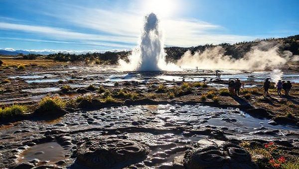 A high-definition image of Te Puia, capturing the mesmerizing geothermal landscape with bubbling mud pools and the iconic Pohutu geyser erupting under a brilliant blue sky during summer. Surround the geyser with vibrant greenery and colorful seasonal flowers, incorporating intricate Maori carvings in the foreground and steaming vents creating a mystical ambiance. Include joyful visitors engaging in cultural performances nearby, set against the backdrop of New Zealand's breathtaking scenery.