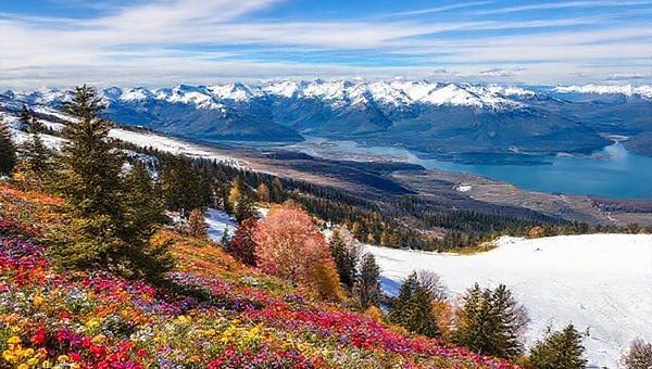 Imagine a breathtaking high-definition scene of Treble Cone, New Zealand, capturing the stunning contrast of each season: vibrant wildflowers blooming in summer, snow-covered slopes teeming with skiers in winter, trees adorned in autumn's fiery colors, and fresh blossoms heralding spring. Showcase the majestic Southern Alps in the background, with a panoramic view over crystal-clear Lake Wanaka. Let the atmosphere reflect both adventure and serenity, inviting viewers to explore the beauty of this captivating alpine playground.