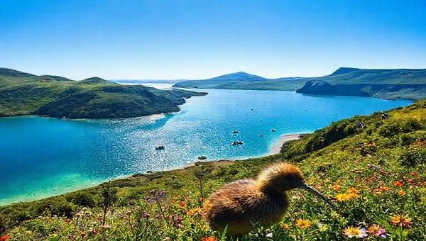 A breathtaking view of Stewart Island, showcasing its lush green landscapes under a radiant summer sun, dotted with vibrant wildflowers and crystal-clear waters. In the foreground, a kiwi bird peeks through the foliage, while adventurous hikers traverse the iconic Rakiura Track. The backdrop features the tranquil Paterson Inlet, where colorful kayaks glide along the sparkling surface, and majestic cliffs rise on the horizon. The sky is a brilliant blue, hinting at the island’s charm as a year-round destination.
