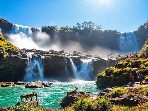 A breathtaking high-definition scene of Huka Falls in New Zealand, showcasing the thundering waterfall cascading over rugged rocks, surrounded by vibrant summer greenery. Sunlight sparkles off the turquoise waters, with joyful visitors engaged in activities like biking and picnicking along scenic trails. Include native wildlife in the foreground and a clear blue sky above, capturing the lively essence of summer at the falls.