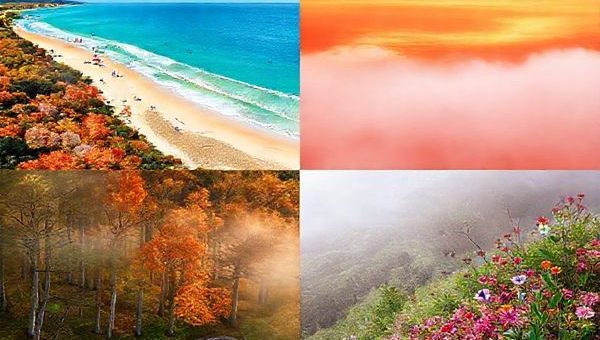 A stunning high-definition landscape of Hauraki District, New Zealand, showcasing all four seasons. Divide the image into quadrants: the top left features a vibrant summer beach scene with sunbathers at Waihi Beach, the top right displays the serene beauty of autumn foliage in warm russet tones, the bottom left depicts a mystical winter forest with misty trails and cozy hot pools, and the bottom right captures the lively blooms of spring with colorful flowers and a winery. Each section should evoke the essence of the season, inviting viewers to explore this enchanting region year-round.