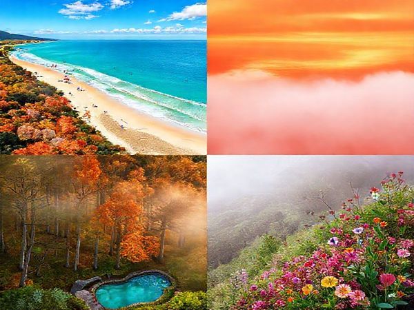 A stunning high-definition landscape of Hauraki District, New Zealand, showcasing all four seasons. Divide the image into quadrants: the top left features a vibrant summer beach scene with sunbathers at Waihi Beach, the top right displays the serene beauty of autumn foliage in warm russet tones, the bottom left depicts a mystical winter forest with misty trails and cozy hot pools, and the bottom right captures the lively blooms of spring with colorful flowers and a winery. Each section should evoke the essence of the season, inviting viewers to explore this enchanting region year-round.