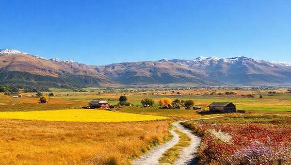 **Create a high-definition image of the Waimate District in New Zealand, showcasing the vibrant landscapes of each season: summer's golden fields, winter's frosty embrace, autumn's amber leaves, and spring's blooming flora. Include a picturesque historical trail winding through the scenery, with hints of local wildlife and charming architecture scattered throughout. The image should evoke a sense of adventure and tranquility in this captivating region, with a clear blue sky above.**