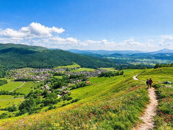 A scenic view of the Schwarzwaldhochstraße in summer, showcasing vibrant green hills and blooming wildflowers under a bright blue sky. Include charming villages nestled in the landscape and adventurous hikers on a winding trail. Capture the essence of nature's beauty and outdoor activities. High definition.