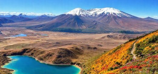 A breathtaking high-definition landscape of Tongariro National Park showcasing all four seasons: vibrant summer trails with hikers amidst turquoise lakes, winter snow-covered peaks with skiers descending Mount Ruapehu, serene autumn foliage with warm hues lining quiet trails, and lively spring blooms bursting with colors among the lush greenery. Each section should seamlessly blend into one another, capturing the park's diverse beauty throughout the year, under a clear blue sky.