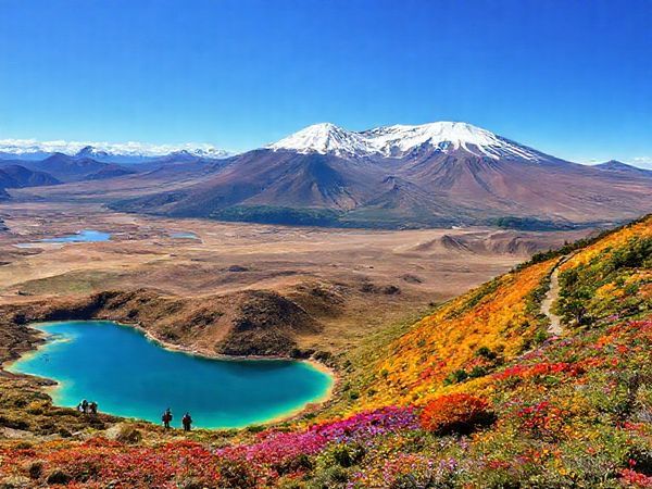 A breathtaking high-definition landscape of Tongariro National Park showcasing all four seasons: vibrant summer trails with hikers amidst turquoise lakes, winter snow-covered peaks with skiers descending Mount Ruapehu, serene autumn foliage with warm hues lining quiet trails, and lively spring blooms bursting with colors among the lush greenery. Each section should seamlessly blend into one another, capturing the park's diverse beauty throughout the year, under a clear blue sky.