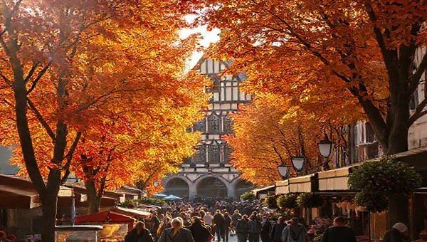 A picturesque scene of Düren in autumn, showcasing the town's charming streets lined with trees bursting in warm hues of red, orange, and gold. Include the iconic Düren Town Hall in the background, surrounded by people exploring vibrant farmers' markets. Soft, golden sunlight filters through the leaves, casting gentle shadows, while a few light showers create a cozy ambiance. Ensure the image is in high definition to capture the details of this serene atmosphere.