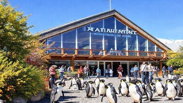 "Create a high-definition image of the International Antarctic Centre in Christchurch, New Zealand, showcasing its vibrant summer atmosphere. Capture families exploring thrilling attractions like the Antarctic Storm Room and the Hagglund rides, with lively blue penguins waddling nearby. Surround the centre with bright summer foliage and clear blue skies, reflecting the warm, inviting experience offered by this unique destination."