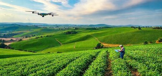 A breathtaking, high-definition landscape of Azerbaijan's agricultural fields, showcasing a blend of traditional farming techniques and advanced technology like drones and precision agriculture tools. Lush green crops stretch across rolling hills under a vibrant sky, illustrating a harmonious balance between nature and innovation. Add farmers actively using tablets and sensors to monitor their fields, encapsulating the spirit of sustainability and resilience against climate change.