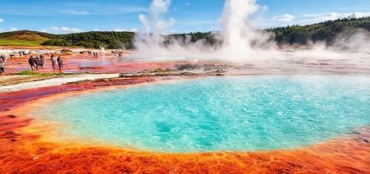 Create a high-definition image of Wai-O-Tapu Thermal Wonderland, showcasing its vibrant hot springs and steaming geysers under a clear summer sky. Highlight the famous Champagne Pool with effervescent turquoise waters and vibrant orange edges. Include lush greenery in the background, and capture the energetic atmosphere of tourists exploring the colorful landscape. The scene should convey a sense of adventure and natural beauty, with vivid colors and dynamic geological features prominently displayed.