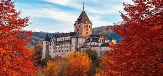 A high-definition image of Heidelberg Castle perched majestically on the Königstuhl hillside during autumn, surrounded by vibrant foliage in hues of amber, gold, and crimson. The scene captures the castle's architectural elegance framed by the colorful trees, with a clear blue sky above and soft wisps of clouds. Include a few leisurely visitors strolling through the area, evoking a sense of tranquility and reflection amidst the breathtaking landscape.
