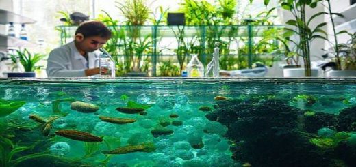 Create a high definition image of a serene laboratory scene where researchers are testing biochar derived from peanut shells, rice straw, sewage sludge, and putrescible waste. Show them conducting experiments with vibrant aquatic life in the background, symbolizing the impact of antibiotic removal from wastewater. Include visuals of bubbling aeration tanks filled with crystal clear water, surrounded by lush greenery, and a glowing light that represents hope for a cleaner future.