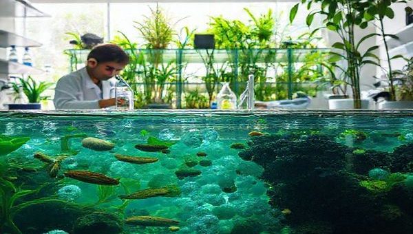 Create a high definition image of a serene laboratory scene where researchers are testing biochar derived from peanut shells, rice straw, sewage sludge, and putrescible waste. Show them conducting experiments with vibrant aquatic life in the background, symbolizing the impact of antibiotic removal from wastewater. Include visuals of bubbling aeration tanks filled with crystal clear water, surrounded by lush greenery, and a glowing light that represents hope for a cleaner future.