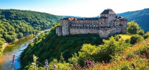 A breathtaking high-definition view of Rheinfels Castle perched above the Rhine River, surrounded by a vibrant summer landscape filled with lush greenery and colorful wildflowers. Capture the essence of medieval grandeur with sunlit stone walls glinting against a bright blue sky, inviting tourists to wander along scenic paths. Include panoramic views of the lush valley below, showcasing the perfect blend of history and natural beauty.