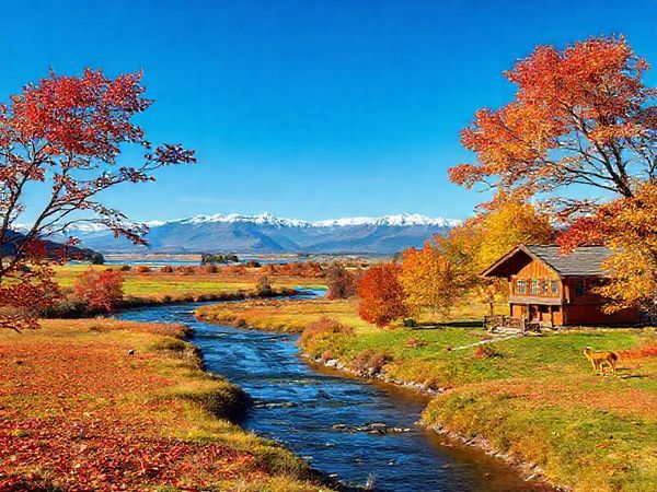A tranquil landscape of Makarewa, New Zealand, showcasing the vivid colors of autumn foliage with red, orange, and yellow leaves scattered across serene fields. In the background, a gentle river flows under a clear blue sky, complemented by distant snow-capped mountains. A cozy wooden cottage appears, inviting visitors to enjoy the peacefulness. Include seasonal wildlife, like vibrant birds and playful deer, enhancing the idyllic setting. Render in high definition.