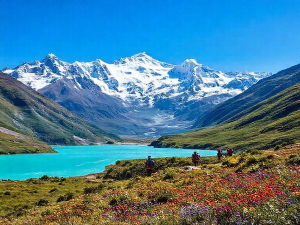 A stunning high-definition image of Aoraki (Mount Cook) in summer, showcasing its majestic snow-capped peaks against a clear blue sky. The foreground features the vibrant turquoise waters of a glacial lake, surrounded by lush green valleys and colorful wildflowers in full bloom. The image captures hikers on the scenic Hooker Valley Track, immersed in the breathtaking natural beauty, with dramatic mountain vistas in the background.