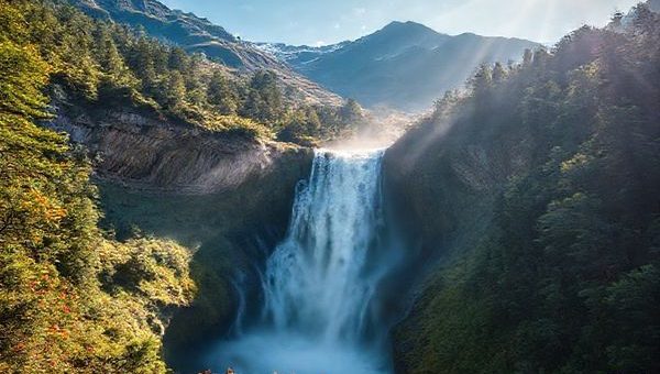 A breathtaking high-definition landscape of Devils Punchbowl Waterfall in New Zealand's Arthur’s Pass National Park. The scene captures the waterfall cascading powerfully from a height of over 130 meters, surrounded by lush native beech forests and rugged mountains. Depict the vibrant colors of summer with sunlight filtering through the trees, vibrant flora swaying in the breeze, and the thunderous rush of water, while maintaining a sense of peaceful solitude. Banishing crowds, focus on the serene beauty of this majestic natural wonder.