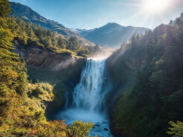 A breathtaking high-definition landscape of Devils Punchbowl Waterfall in New Zealand's Arthur’s Pass National Park. The scene captures the waterfall cascading powerfully from a height of over 130 meters, surrounded by lush native beech forests and rugged mountains. Depict the vibrant colors of summer with sunlight filtering through the trees, vibrant flora swaying in the breeze, and the thunderous rush of water, while maintaining a sense of peaceful solitude. Banishing crowds, focus on the serene beauty of this majestic natural wonder.