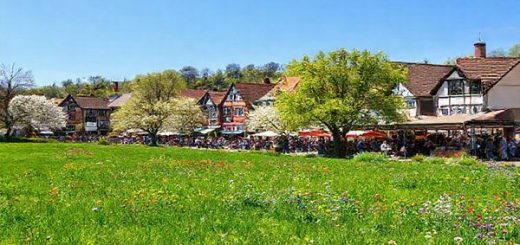 **A picturesque scene of Landkreis Darmstadt-Dieburg in late spring, showcasing lush green meadows adorned with colorful wildflowers and blossoming trees under a clear blue sky. In the background, quaint historic towns with traditional German architecture can be seen, bustling with cheerful locals at an open-air market. The atmosphere is vibrant and inviting, capturing the essence of cultural richness and natural beauty. The image should be high definition.**
