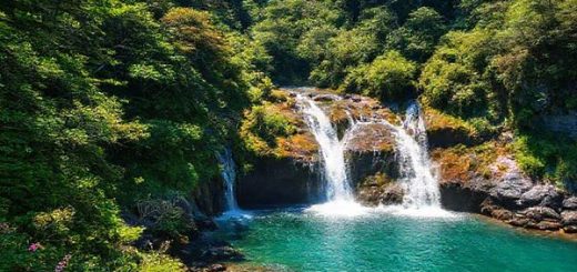 **High definition image prompt:** A breathtaking scene of Catlins Forest Park in New Zealand, showcasing a vibrant summer landscape with lush green foliage, cascading McLean Falls, and glimpses of playful dolphins and sea lions near the rocky shores. The sun shines brightly, illuminating the diverse flora and inviting hiking trails. Add ethereal wildlife and a sense of tranquility, capturing the park's adventurous spirit.